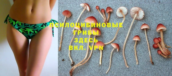 СК Мегион