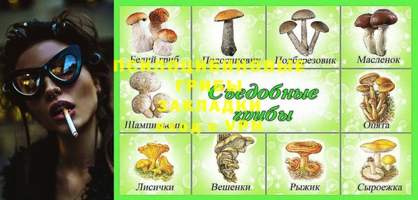 СК Мегион
