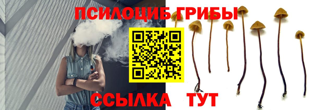 Псилоцибиновые грибы Magic Shrooms Строитель