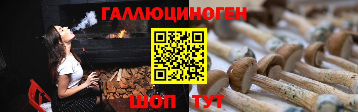 Галлюциногенные грибы Psilocybine cubensis  Вход с VPN  Строитель 